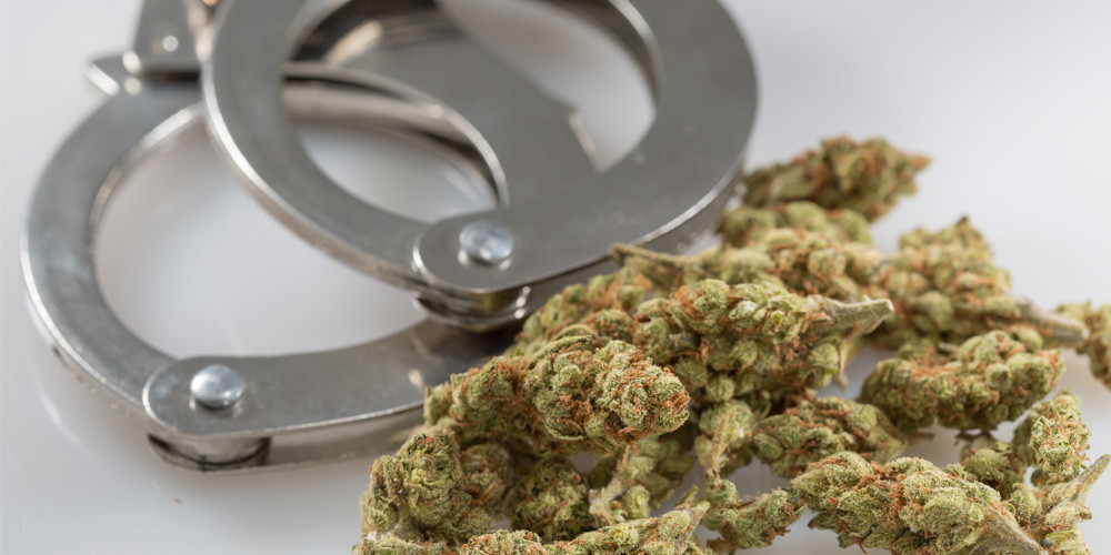 अवैध लागूऔषध गाँजासहित ट्रक चालक पक्राउ