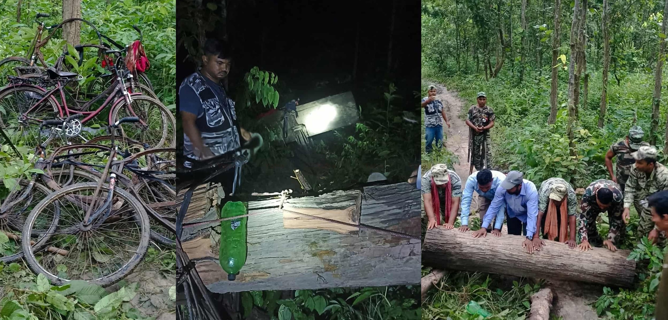 काठ तस्करीविरुद्ध विशेष अपरेसन, ठूलो परिमाणमा काठ बरामद, एक तस्कर पक्राउ