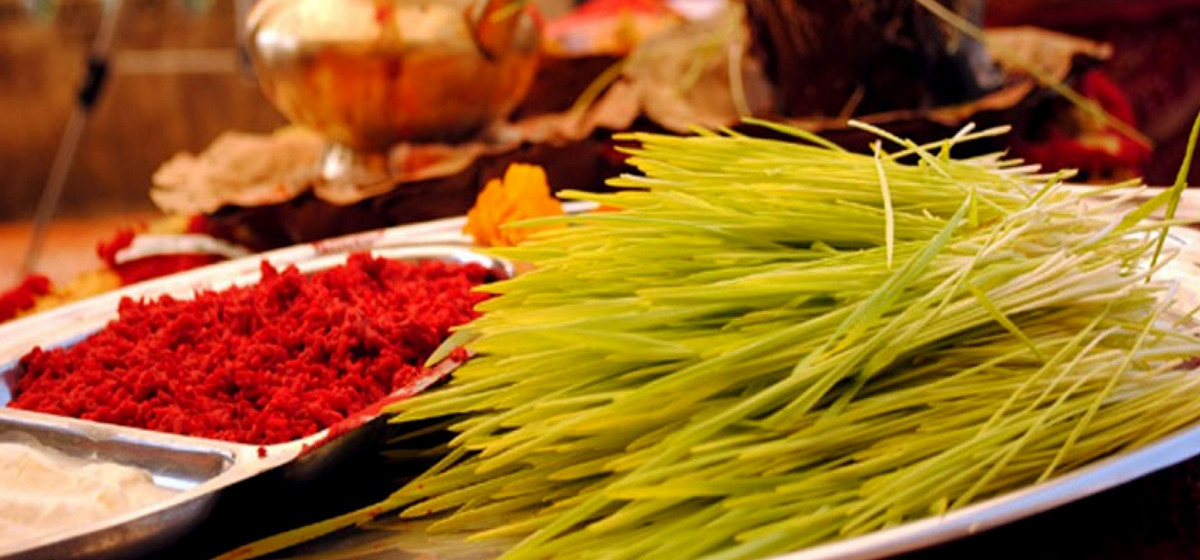 आज विजया दशमी, मान्यजनको हातबाट टीका र जमरा लगाएर मनाइदै