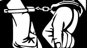 सुनसरीमा लागूऔषधसहित दुई युवक पक्राउ