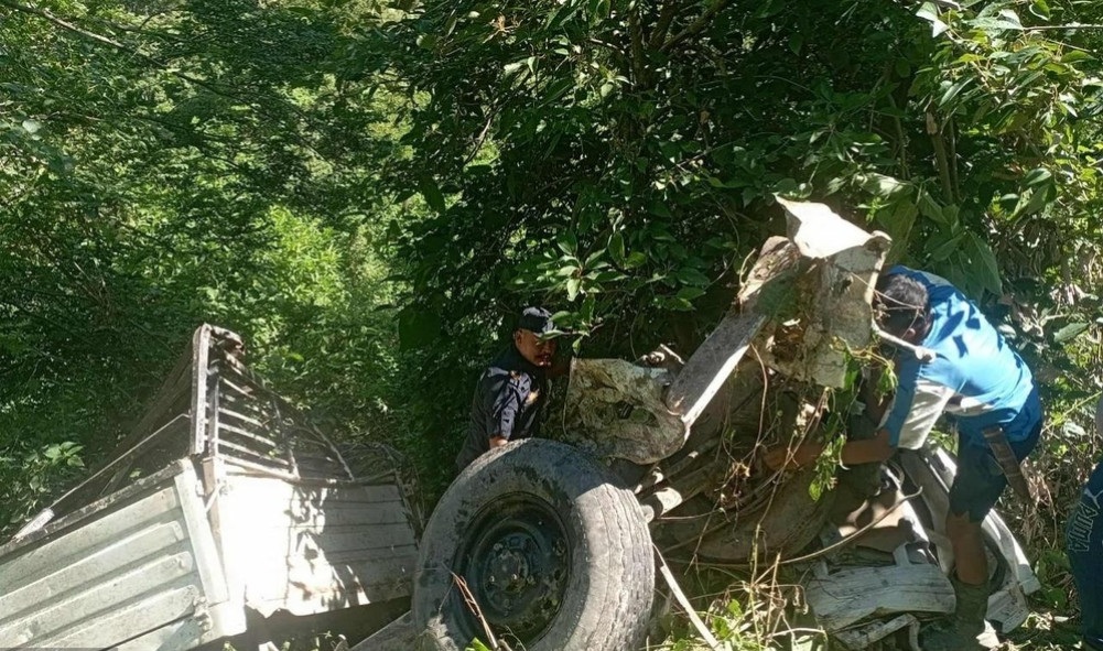 चालकको हत्या गरी लुटिएको गाडी ट्राफिक छलेर भाग्दा दुर्घटनामा