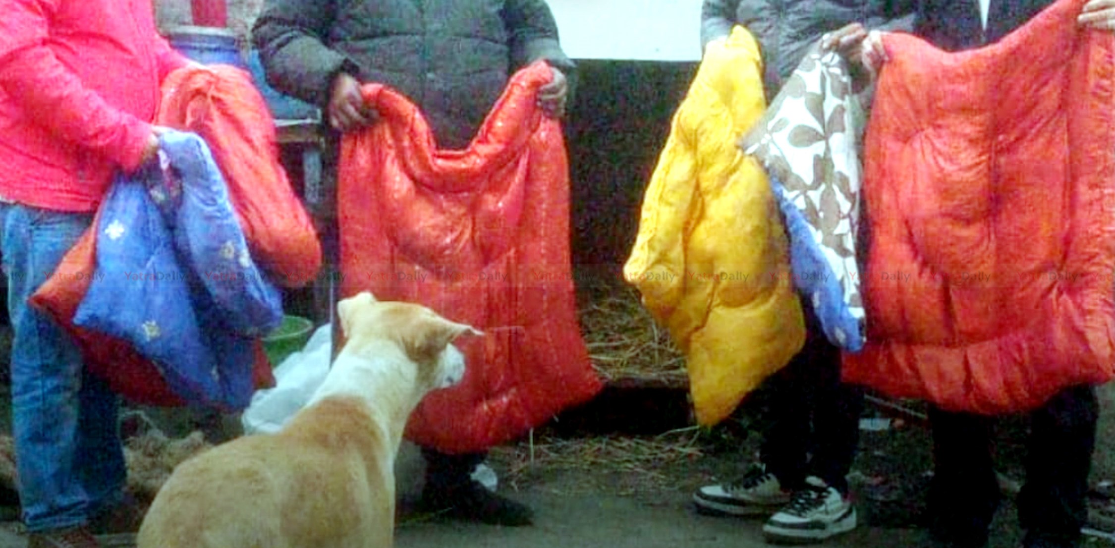 कपडा बैंकको सहयोगमा वीरगञ्जका कुकुरलाई न्यानो कपडा