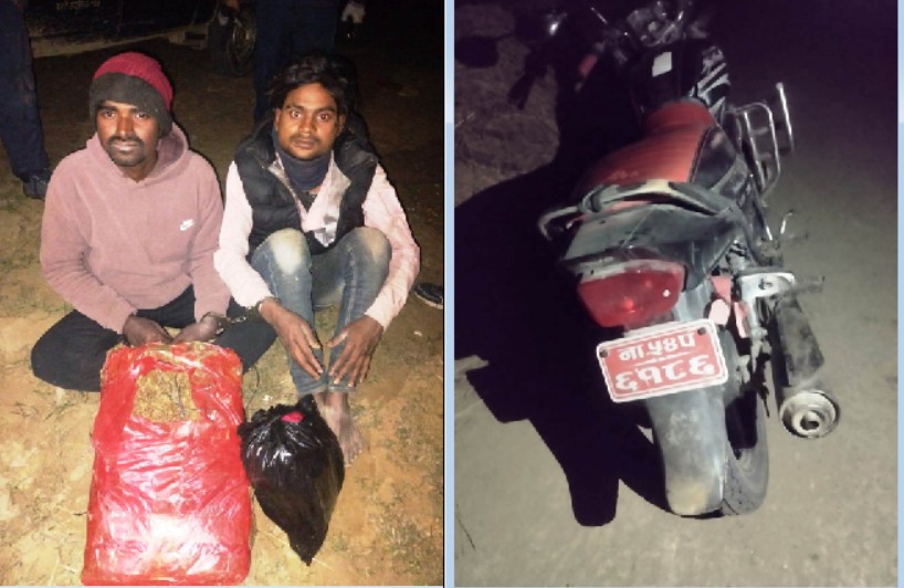 १० किलो गाँजा सहित दुई जना युवक पक्राउ