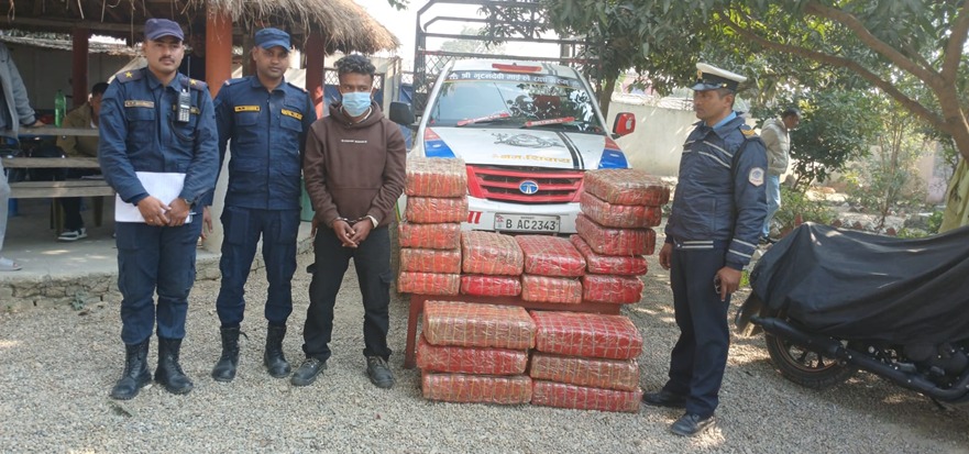 बारामा ठूलो परिमाणको लागुऔषध गाँजा बरामद, एक जना पक्राउ