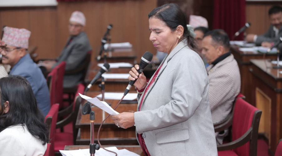 राष्ट्रिय झन्डा दुरुपयोगप्रति राष्ट्रियसभामा बहस र कारबाहीको माग