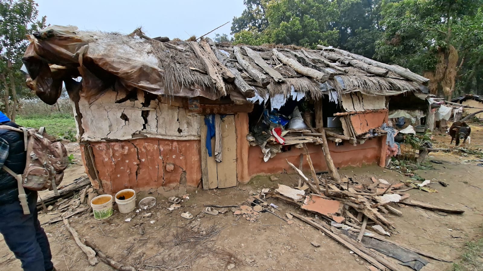 हात्तीको आक्रमणबाट कञ्चनपुरमा एक बालिकाको मृत्यु, एक जना घाइते