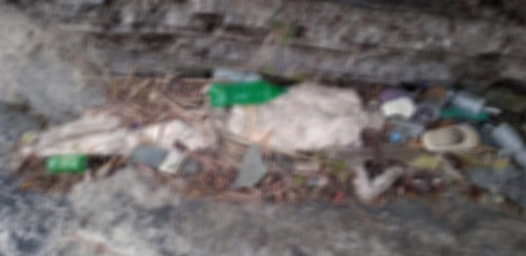 मानव कंकाल फेला, कालीगण्डकी किनारमा