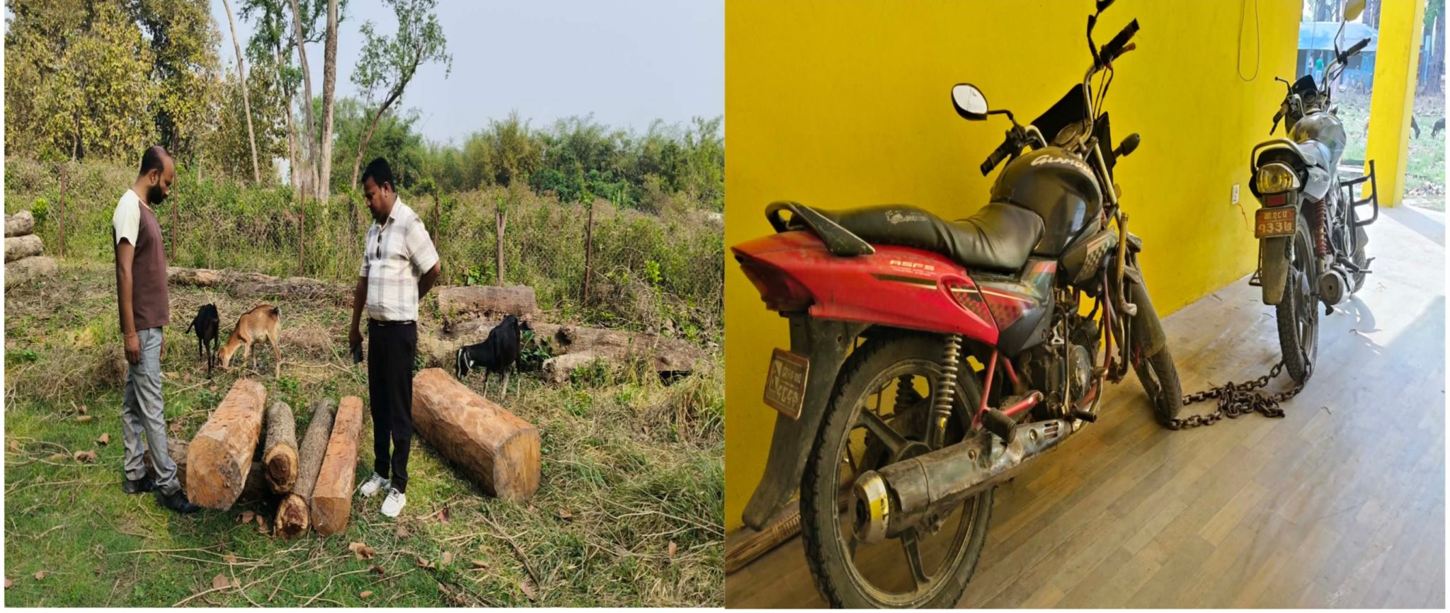 काठ तस्करी गर्न खोज्ने प्रयास असफल, जंगलबाट काठ र बाइक नियन्त्रणमा