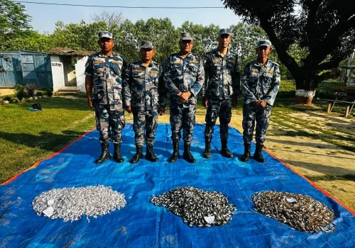 नवलपरासीमा लागुऔषध फेला, बेवारिसे अवस्थामा बरामद