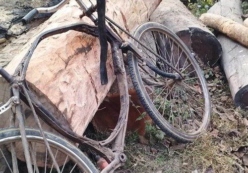 पर्सागढीमा सालको काठ बरामद, तस्कर फरार