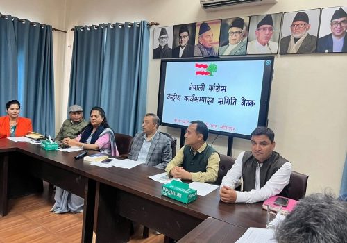 कांग्रेस केन्द्रीय बैठकमा महाधिवेशनबारे चर्चा नगर्ने निर्णय