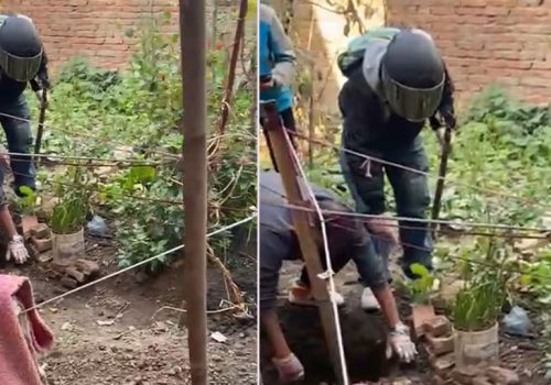 क्रूरताको पराकाष्ठा: गंगबुमा कुकुरलाई यातना दिएर जिउँदै गाडियो