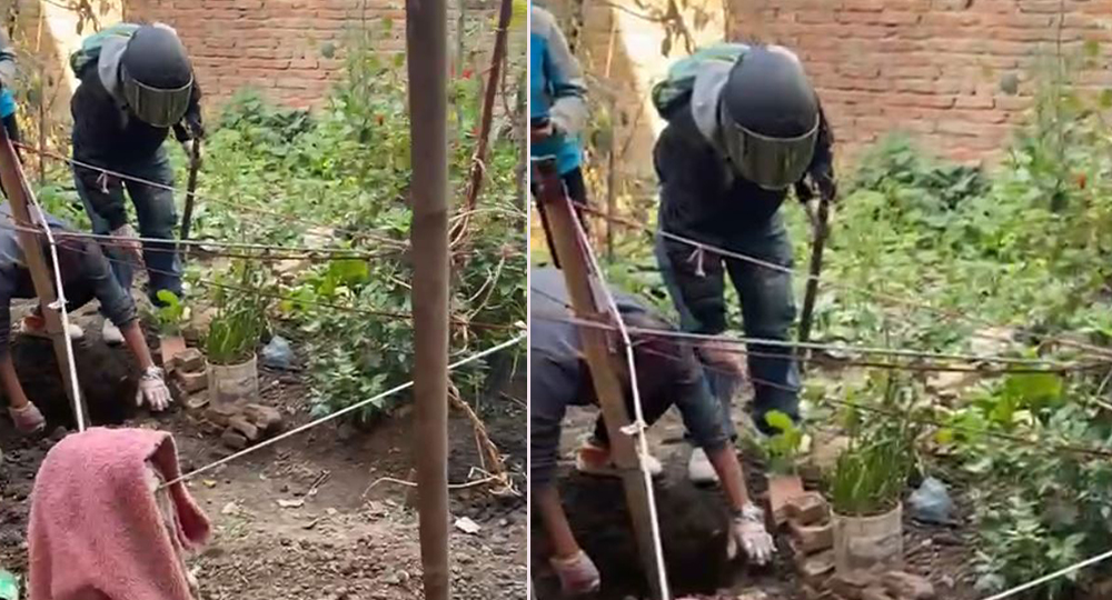 क्रूरताको पराकाष्ठा: गंगबुमा कुकुरलाई यातना दिएर जिउँदै गाडियो