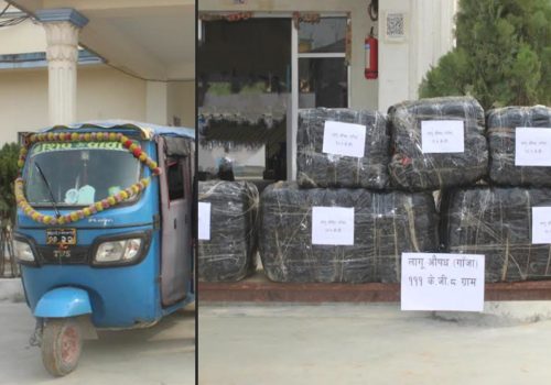 यात्रु अटोमै गाँजा तस्करी, एक महिला सहित दुई पक्राउ