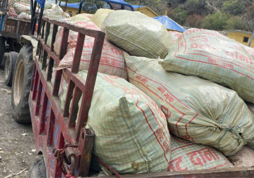 अवैध जडीबुटी कारोबारमा डोल्पाबाट ४ जना पक्राउ, ३५ क्विन्टल बरामद