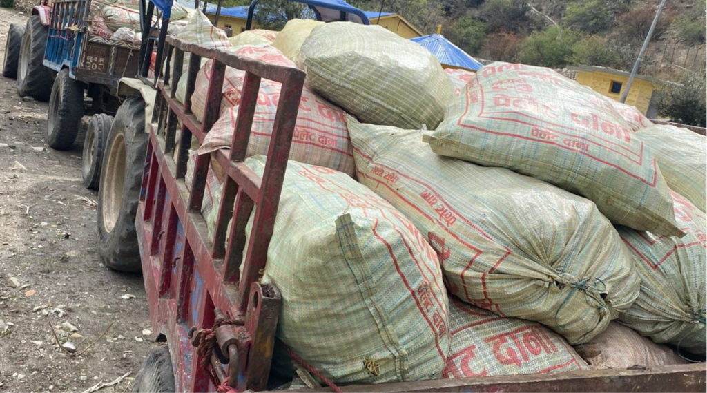 अवैध जडीबुटी कारोबारमा डोल्पाबाट ४ जना पक्राउ, ३५ क्विन्टल बरामद