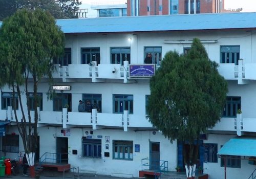 नम्बर प्लेट बदलेर चोरीको मोटरसाइकल चलाउने युवक पक्राउ