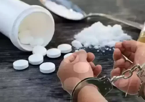 विभिन्न स्थानबाट लागुऔषधसहित २६ जना पक्राउ