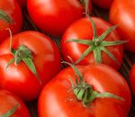 बजारमा गोलभेँडा सस्तो, मूल्यमा गिरावट