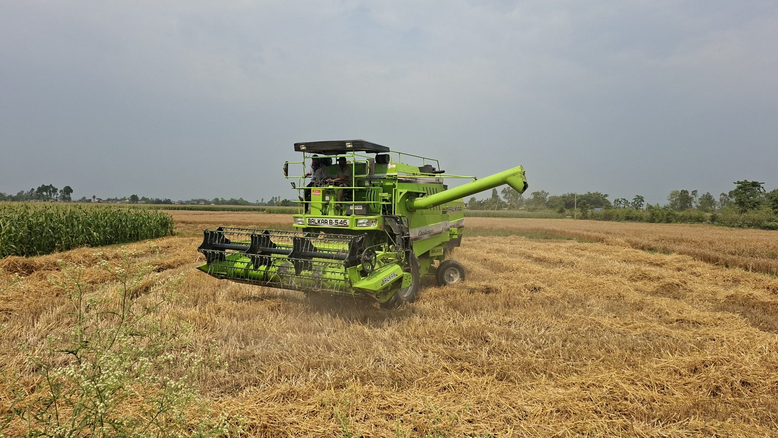आधुनिक कृषि मेसिनले किसानलाई बाली भित्र्याउन सहज बनायो
