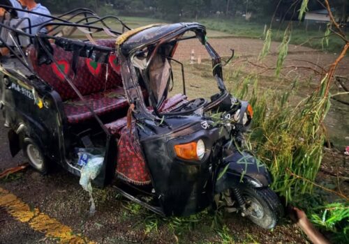 रुख ढल्दा दुःखद घटना, २ जनाको मृत्यु ४ जना घाइते