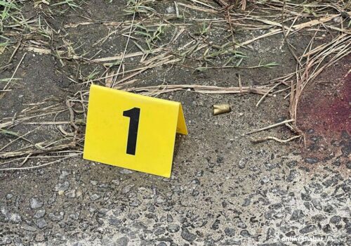 पिंगलास्थानमा गोलीकाण्ड, दुई भारतीय पक्राउ