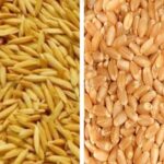 गहुँ र चैते धानको न्यूनतम समर्थन मूल्य तोकियो