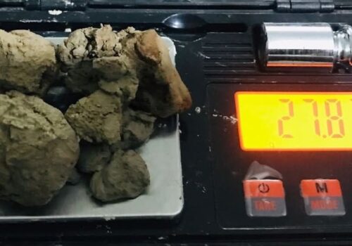 ब्राउन सुगरसहित ८ जना पक्राउ, कोशीमा लागूऔषध कारोबार बढ्दो