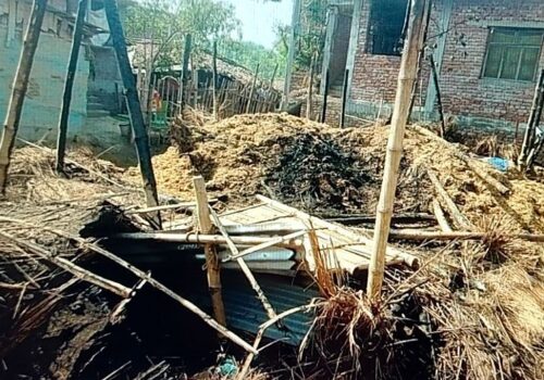 गौरमा भीषण आगलागी, घर र पशुचौपाया नष्ट—परिवार बिचल्लीमा