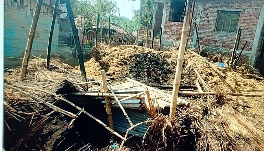 गौरमा भीषण आगलागी, घर र पशुचौपाया नष्ट—परिवार बिचल्लीमा