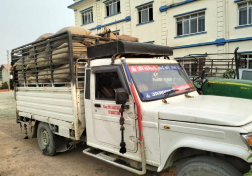 रौतहट प्रहरीले लाखौंको भन्सार छलिको सामानसहित एक जना पक्राउ