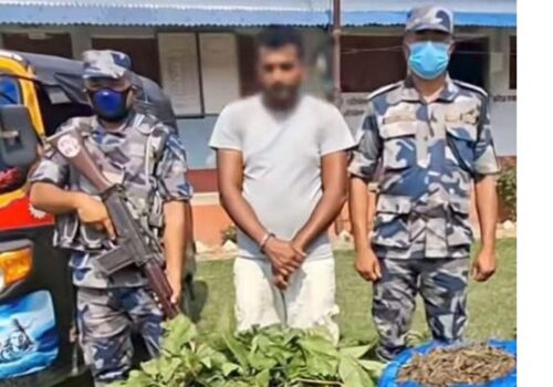 लागुऔषध गाँजासहित एक युवक नियन्त्रणमा