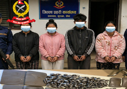 १४ केजीभन्दा बढी चरेससहित कपिलवस्तुमा तीन दिदीबहिनी र एक पुरुष पक्राउ