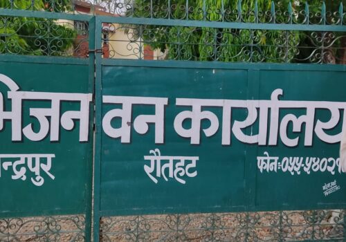 रौतहटको वन अवस्था देशकै उत्कृष्टमध्ये रहेको दाबी, बाघ संरक्षणमा निगरानी कडा : बन अधिकृत साह
