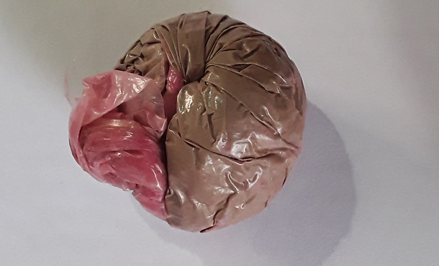 ब्राउनसुगरसहित धरानमा ३ जना पक्राउ
