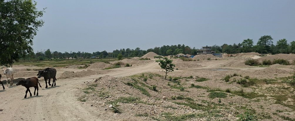 बेलगाम क्रसर उद्योग: कर्मचारीलाई नटेर्ने, ज्यान मार्ने धम्की दिने आरोप