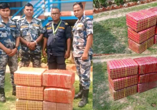 पर्सामा गहुँको भुसभित्र लुकाइएको ८७ किलो गाँजा बरामद