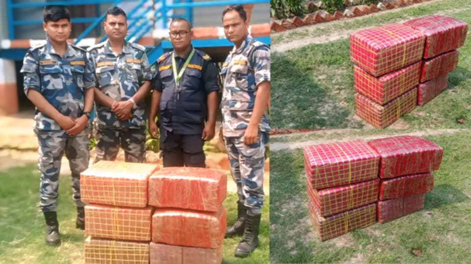 पर्सामा गहुँको भुसभित्र लुकाइएको ८७ किलो गाँजा बरामद
