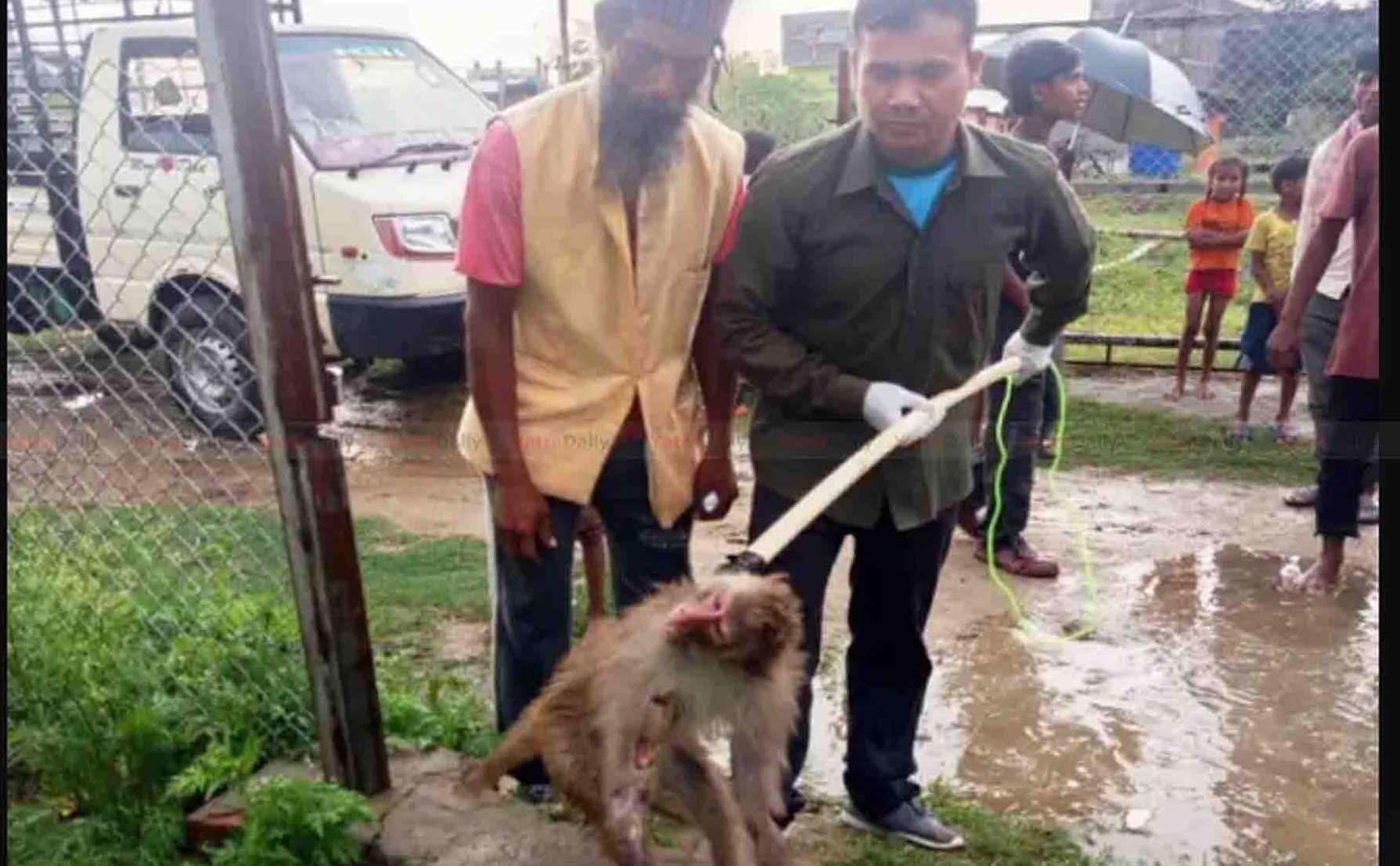 पर्सा राष्ट्रिय निकुञ्जमा ‘वाइल्ड लाइफ रेस्क्यु टिम’ गठन, उद्धार कार्य तीव्र