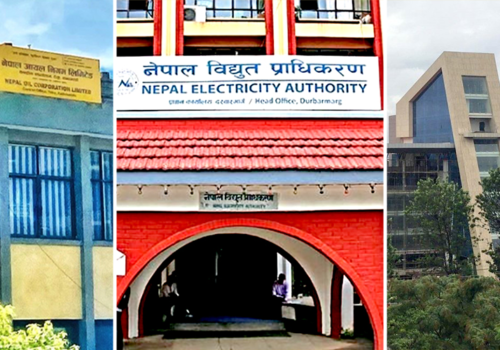 सार्वजनिक संस्थानको रिपोर्ट : ४५ मध्ये २७ नाफामा, १६ घाटामा