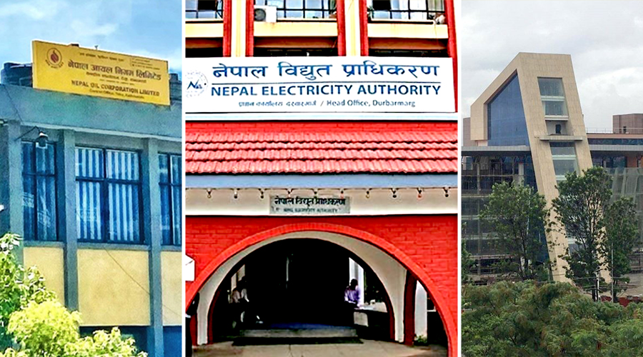 सार्वजनिक संस्थानको रिपोर्ट : ४५ मध्ये २७ नाफामा, १६ घाटामा