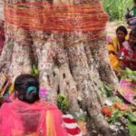 मिथिलाञ्चलमा वटसावित्री पर्व श्रद्धापूर्वक मनाइँदै