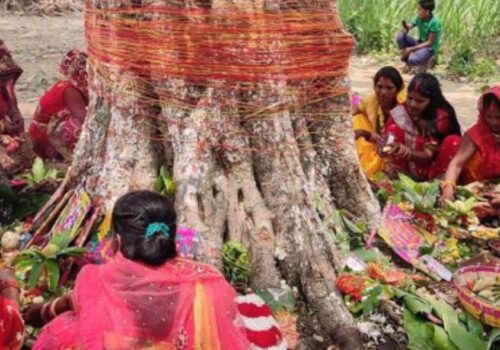 मिथिलाञ्चलमा वटसावित्री पर्व श्रद्धापूर्वक मनाइँदै