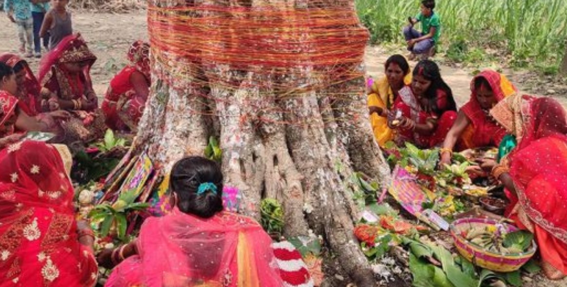 मिथिलाञ्चलमा वटसावित्री पर्व श्रद्धापूर्वक मनाइँदै
