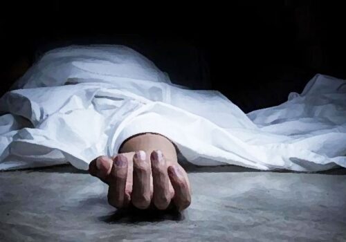 करेन्ट पासोको जालमा परेर बागमतीमा एकै दिन ६ जनाको मृत्यु
