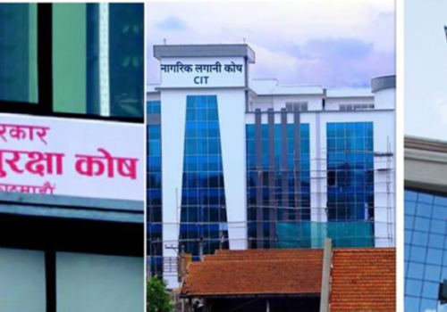 पीईभीसीमा अवकाश कोषको लगानी : अवसर कि जोखिम ?