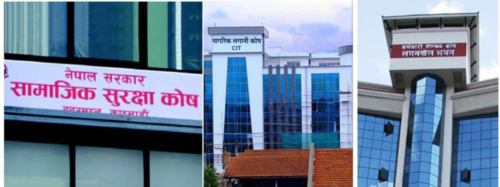 पीईभीसीमा अवकाश कोषको लगानी : अवसर कि जोखिम ?