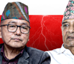 राप्रपाबाट १८३ जनाको सामूहिक राजीनामा, लिङ्देनमाथि गम्भीर आरोप