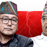 राप्रपाबाट १८३ जनाको सामूहिक राजीनामा, लिङ्देनमाथि गम्भीर आरोप