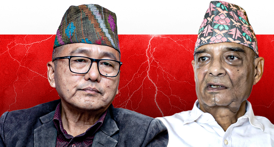 राप्रपाबाट १८३ जनाको सामूहिक राजीनामा, लिङ्देनमाथि गम्भीर आरोप